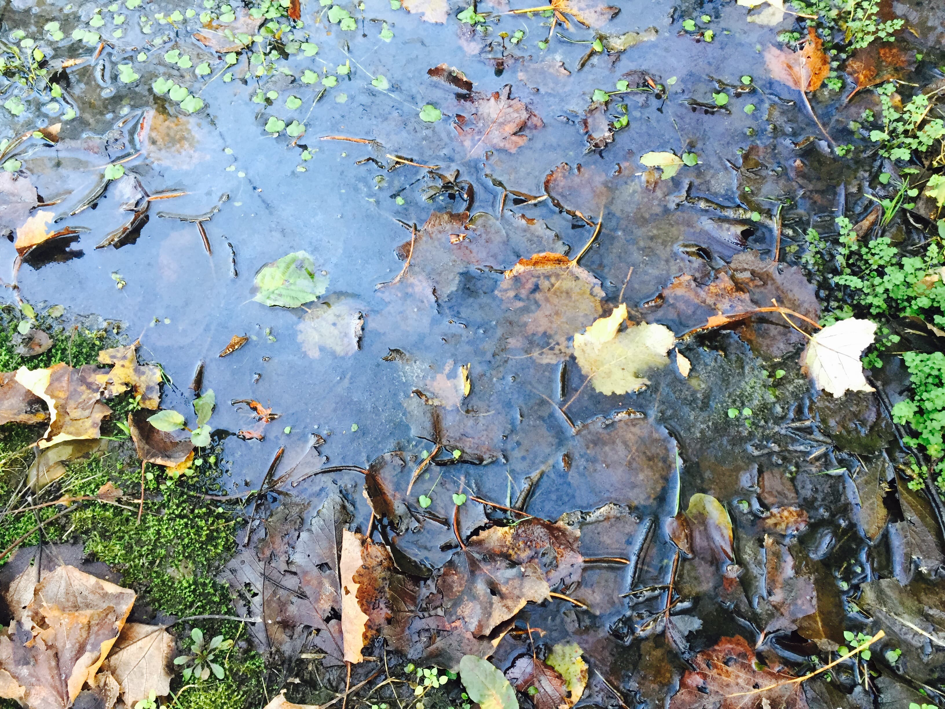 مادر کاملی نیستی؟ نباش، همین خوب